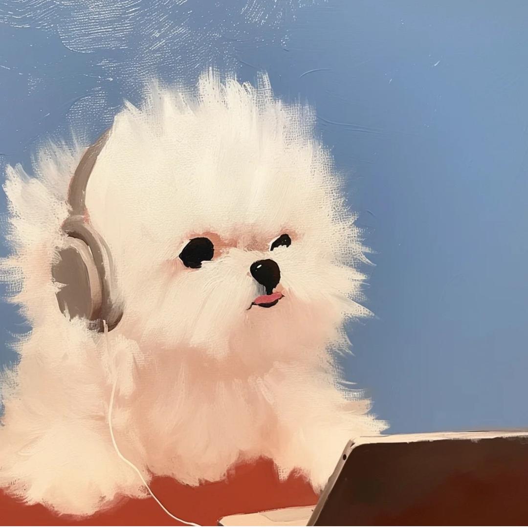 毛毛在努力✨