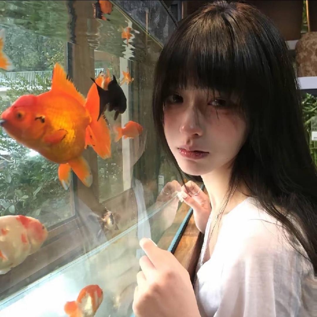 不吃🐟的猫