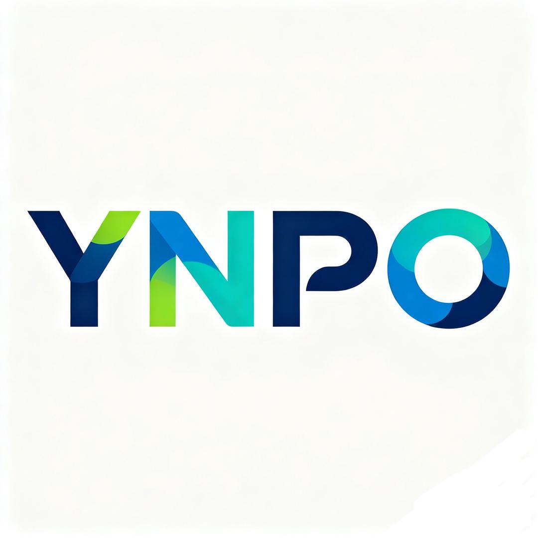 YNPO汽车用品