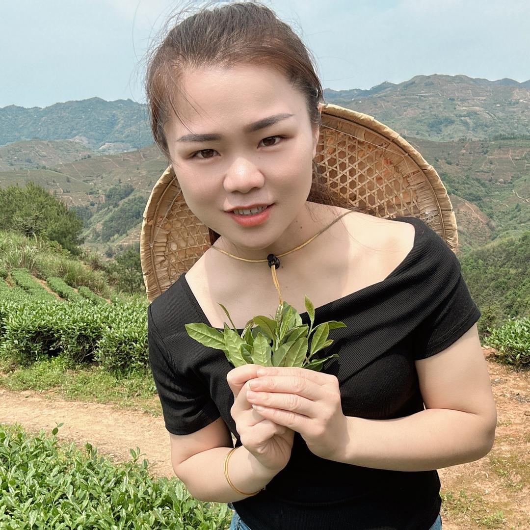 茶山里的姑娘(王雪萍)