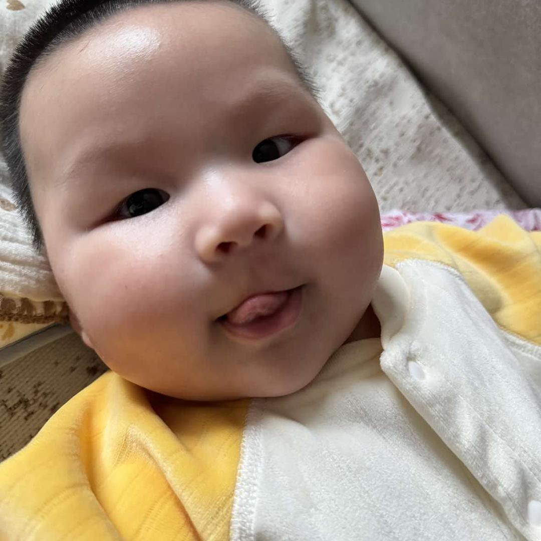 胡胡胡萝卜.