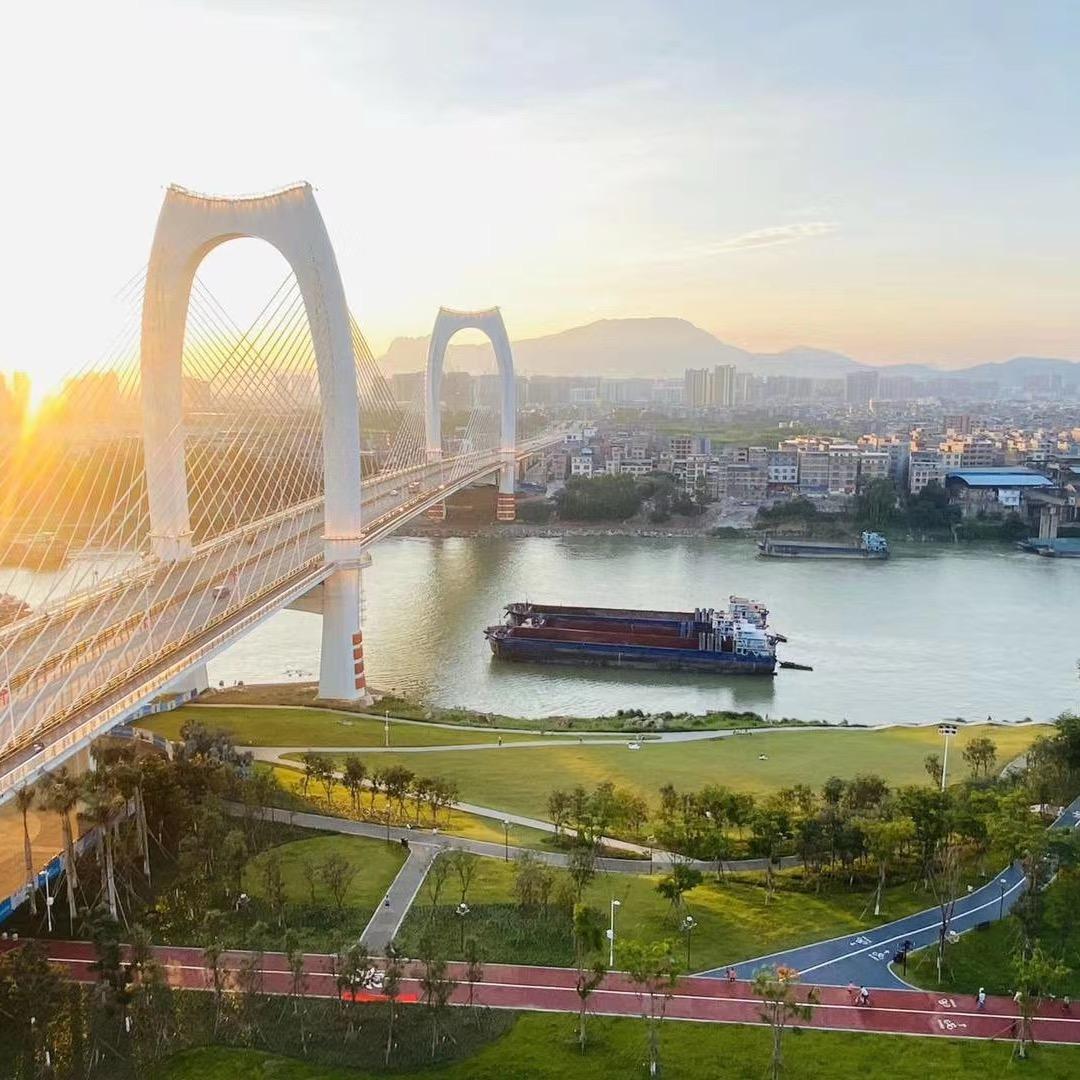 谢小姐🌹🌸💤