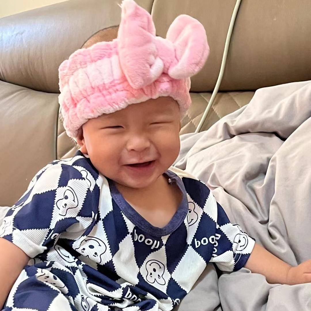 小菠萝的日常生活