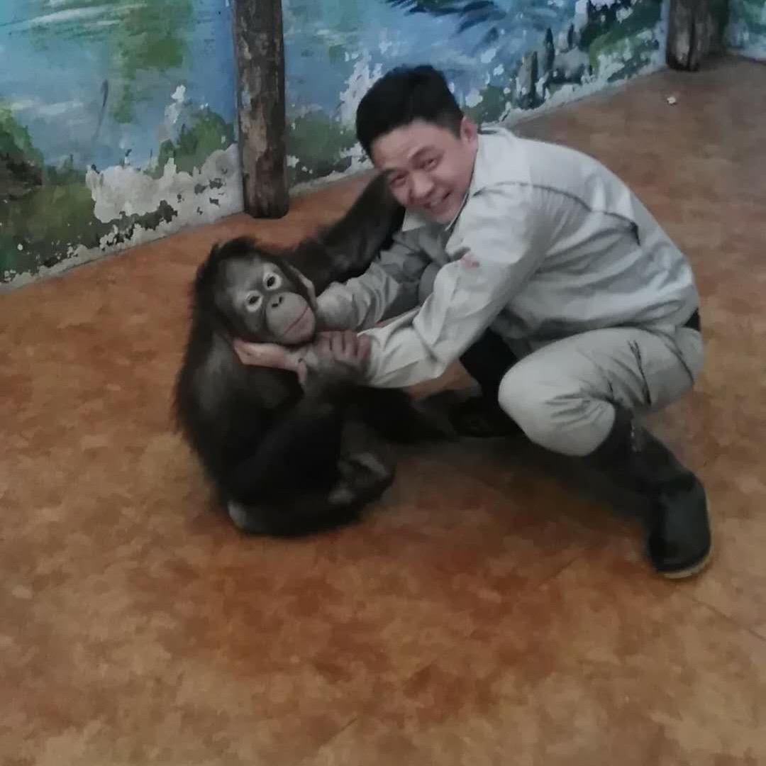 大振