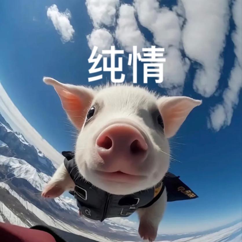 纯情飞天猪