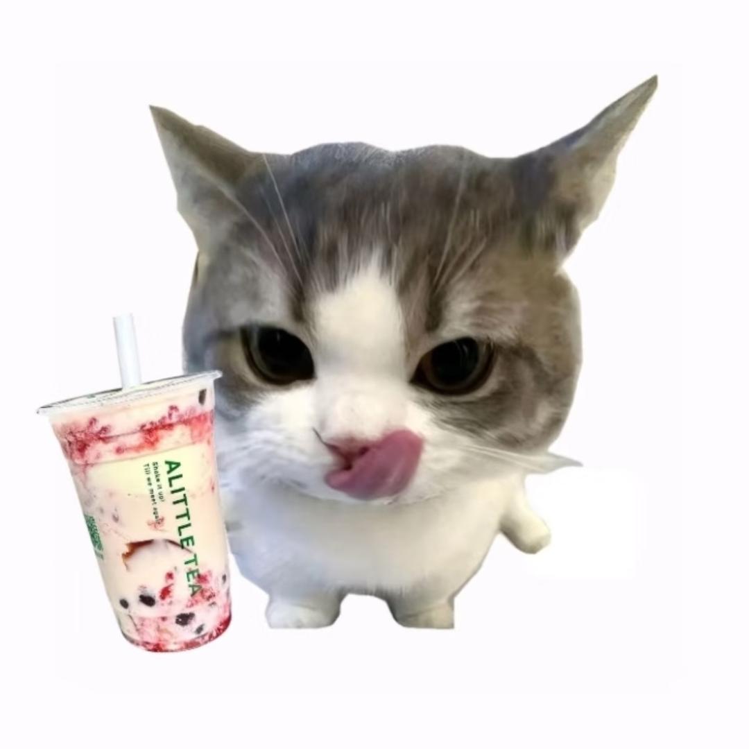 颯芙蘭