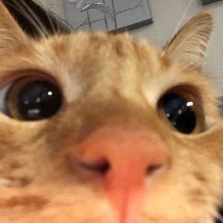 245