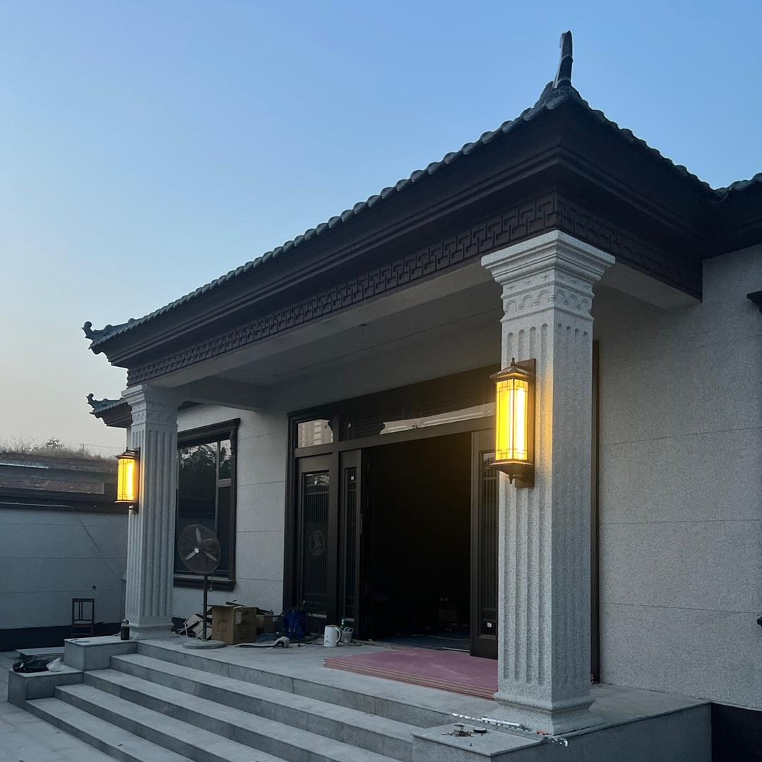 鸽子的农村小院