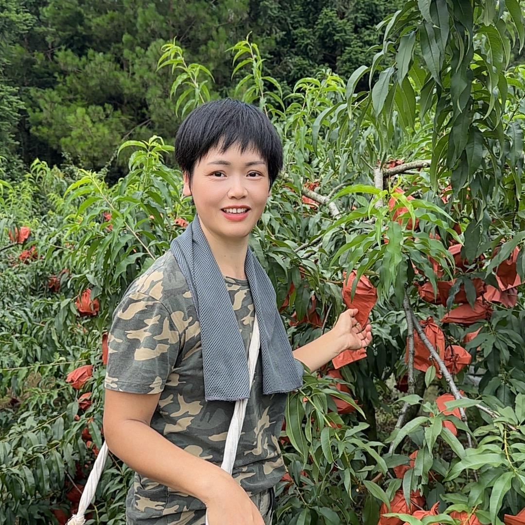 燕子甄选
