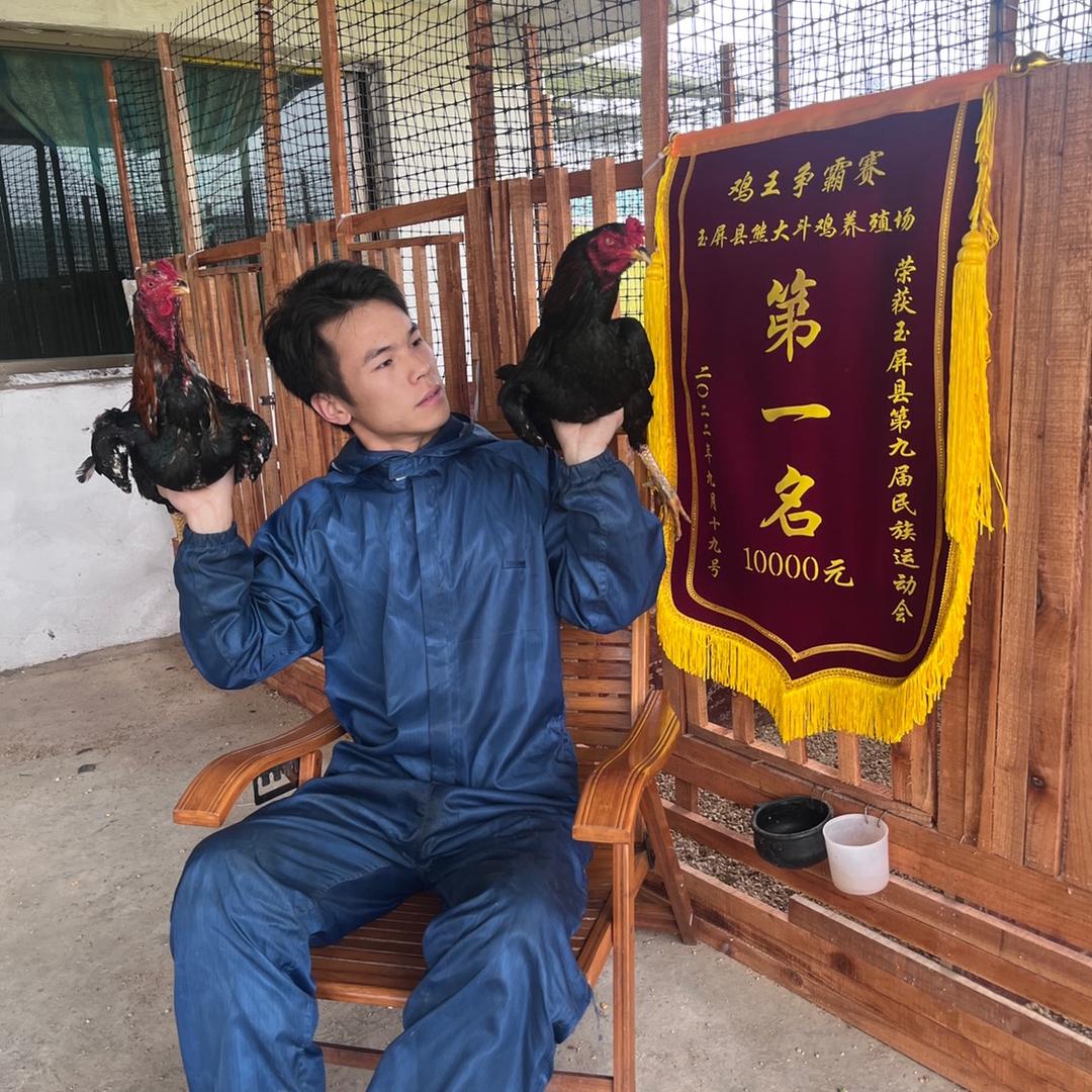 玉屏县熊大斗鸡养殖基地