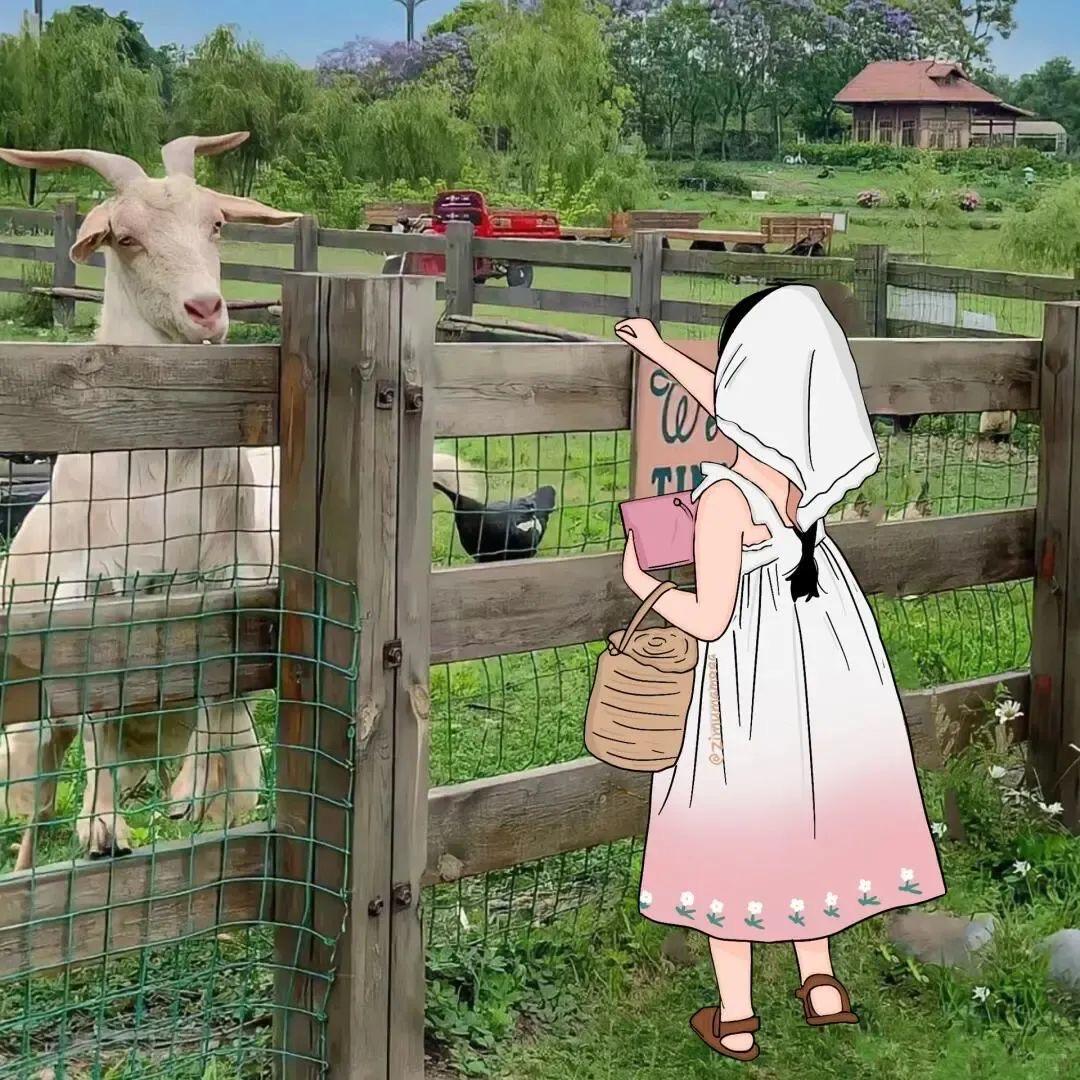 陈陈陈不住气 🎈