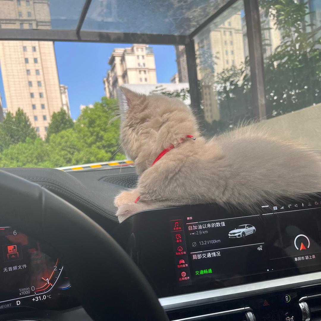 从此水泥封心不爱谁。拒绝私聊