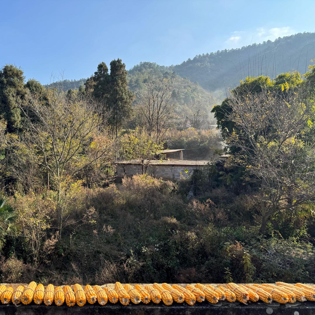 跑山阿许哥