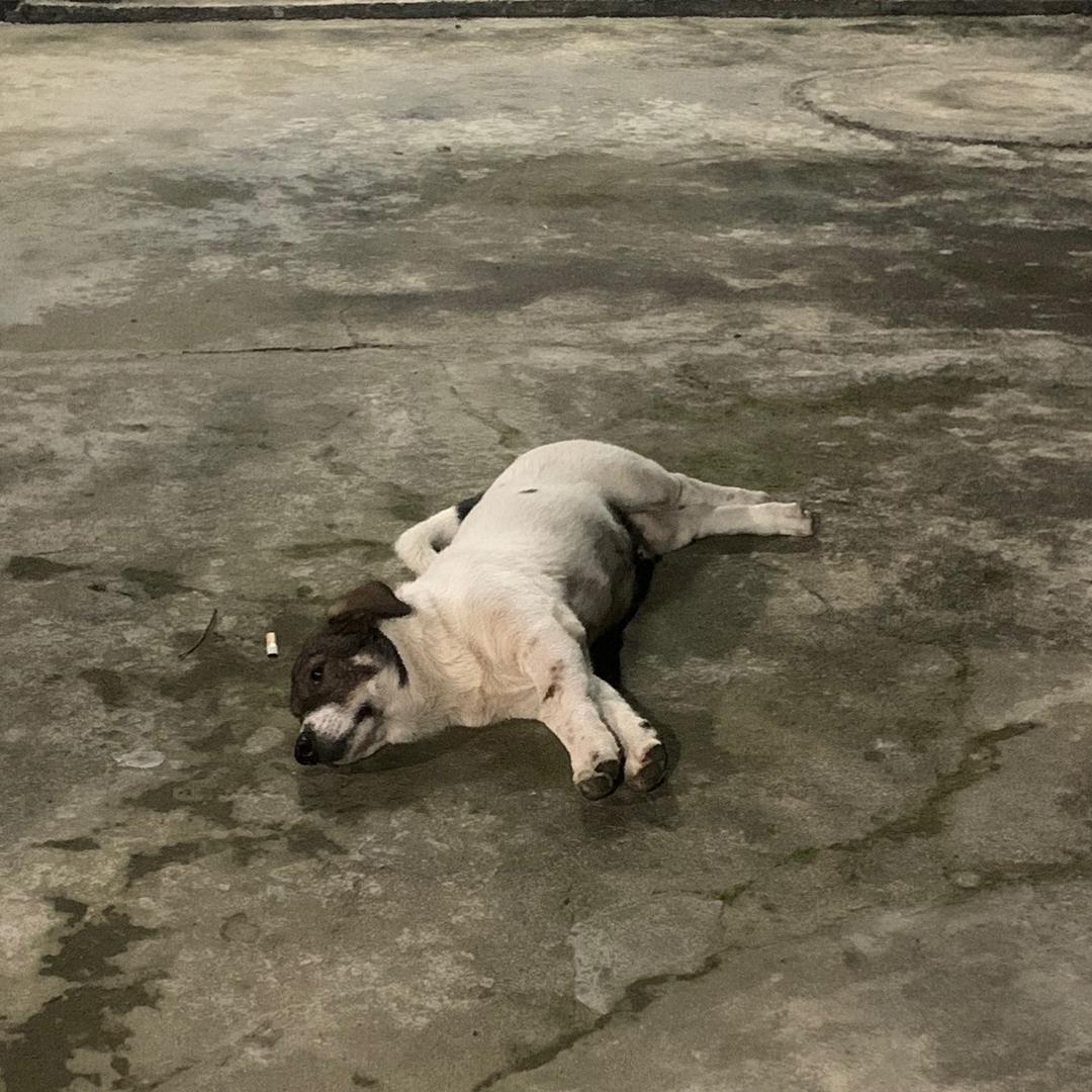 12:10