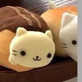 轩