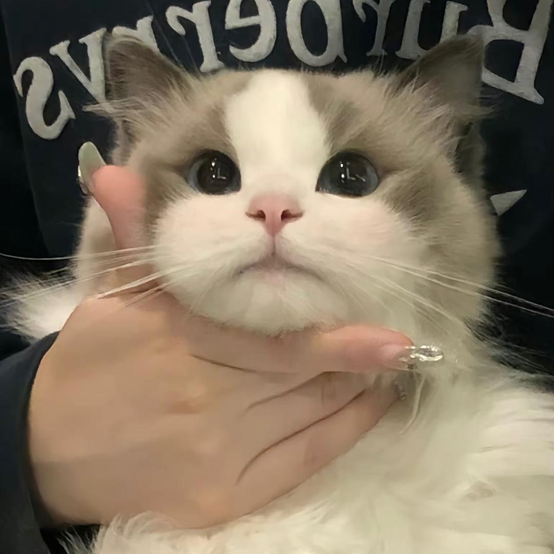 张捧钱