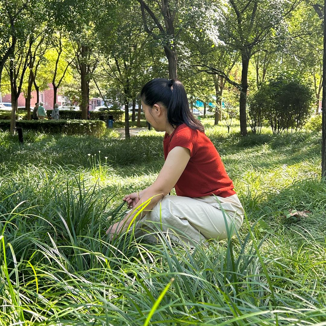 寒梅健身操