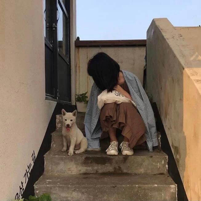 锦鲤语
