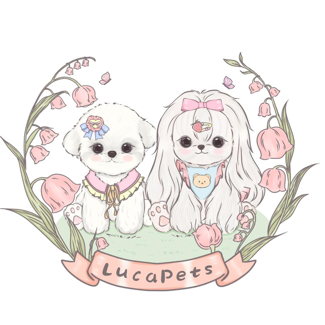 LucaPets宠物发夹工作室