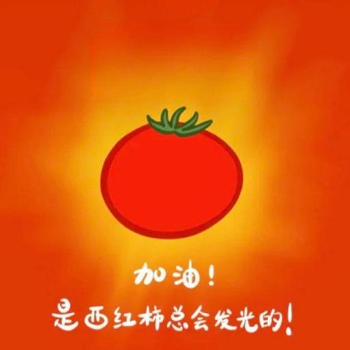 暴躁西红柿