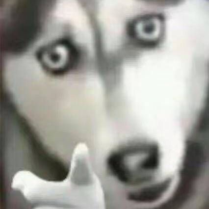 小高