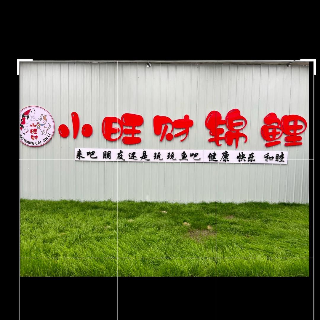 小旺财锦鲤@周周