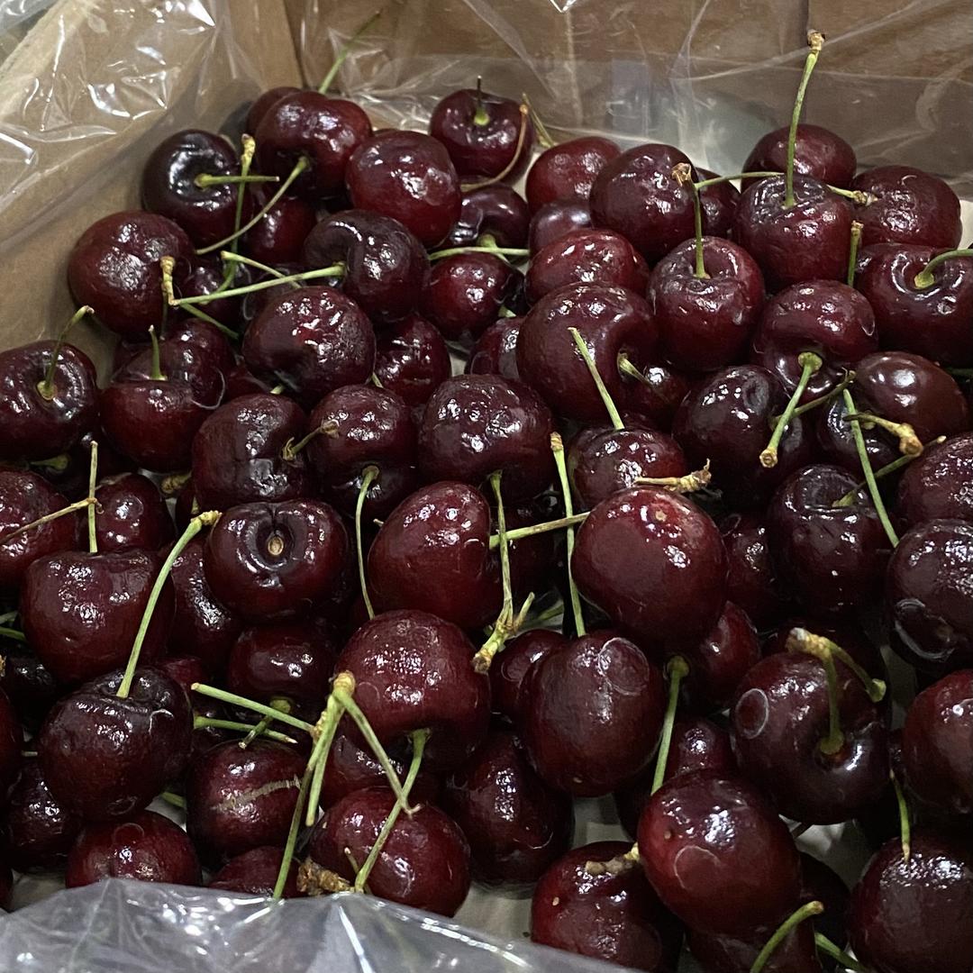 速小鲜鲜小店桂桂