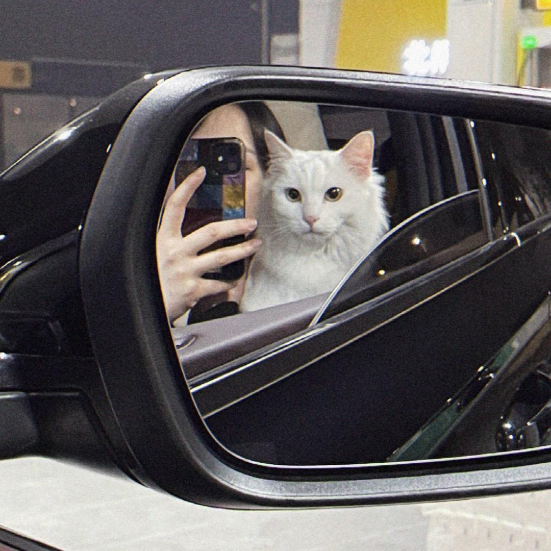 智障研究院王医生