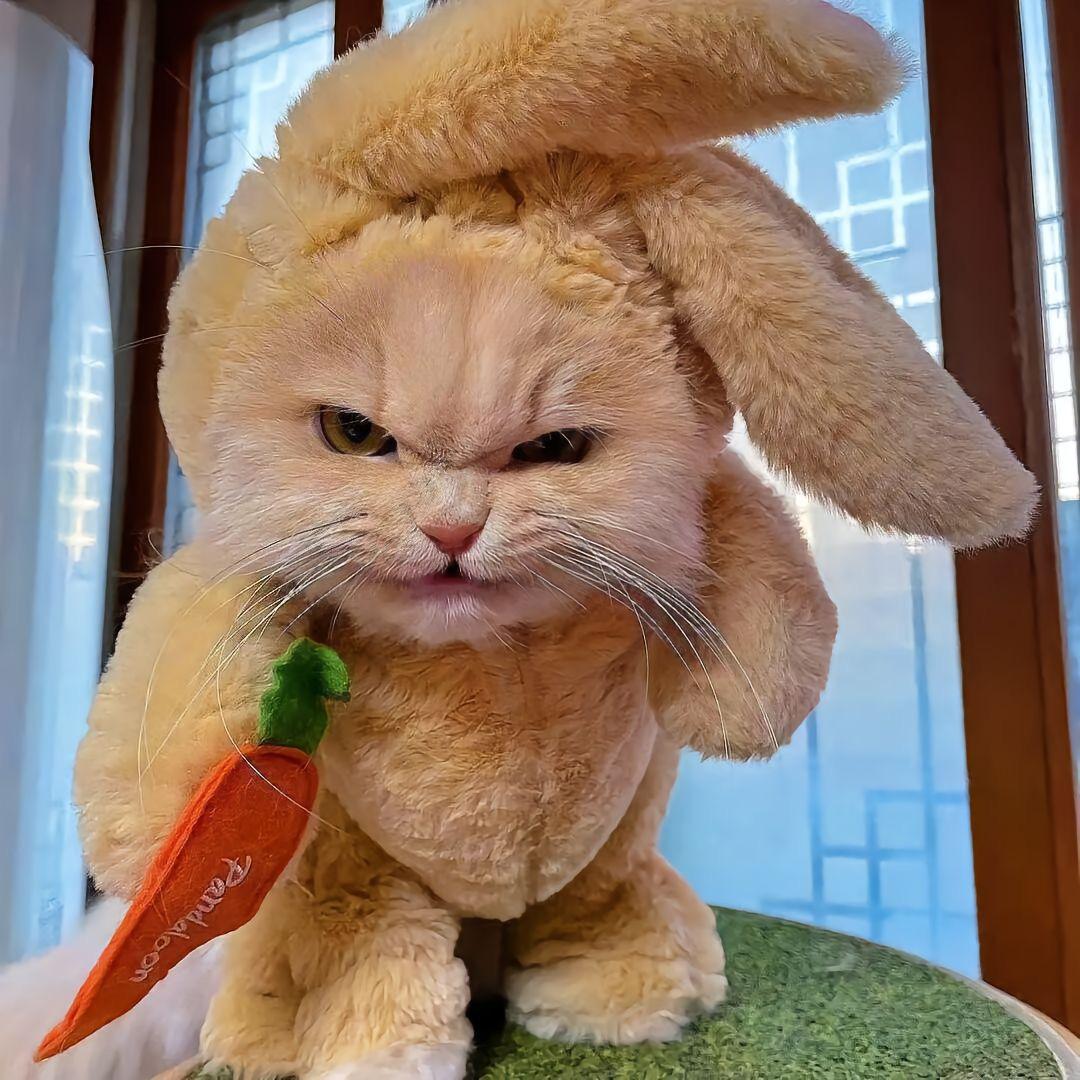 ＜