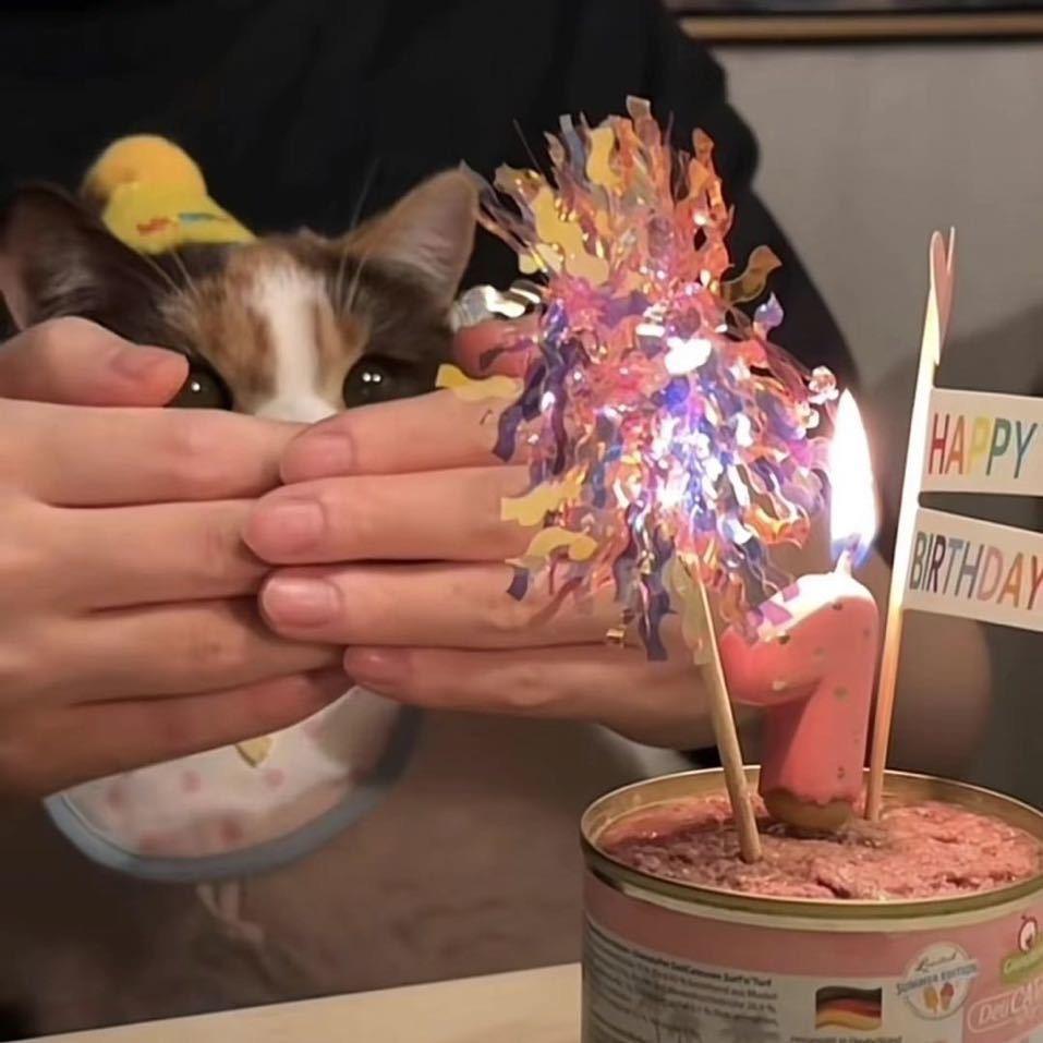 爆爆