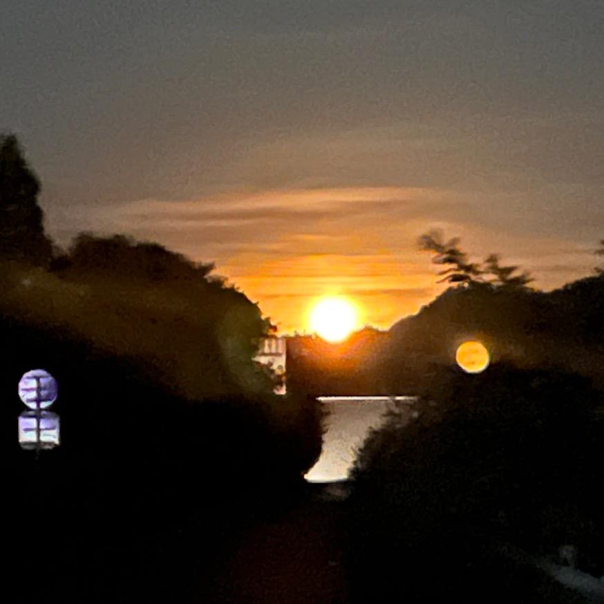 小飞飞的日常生活