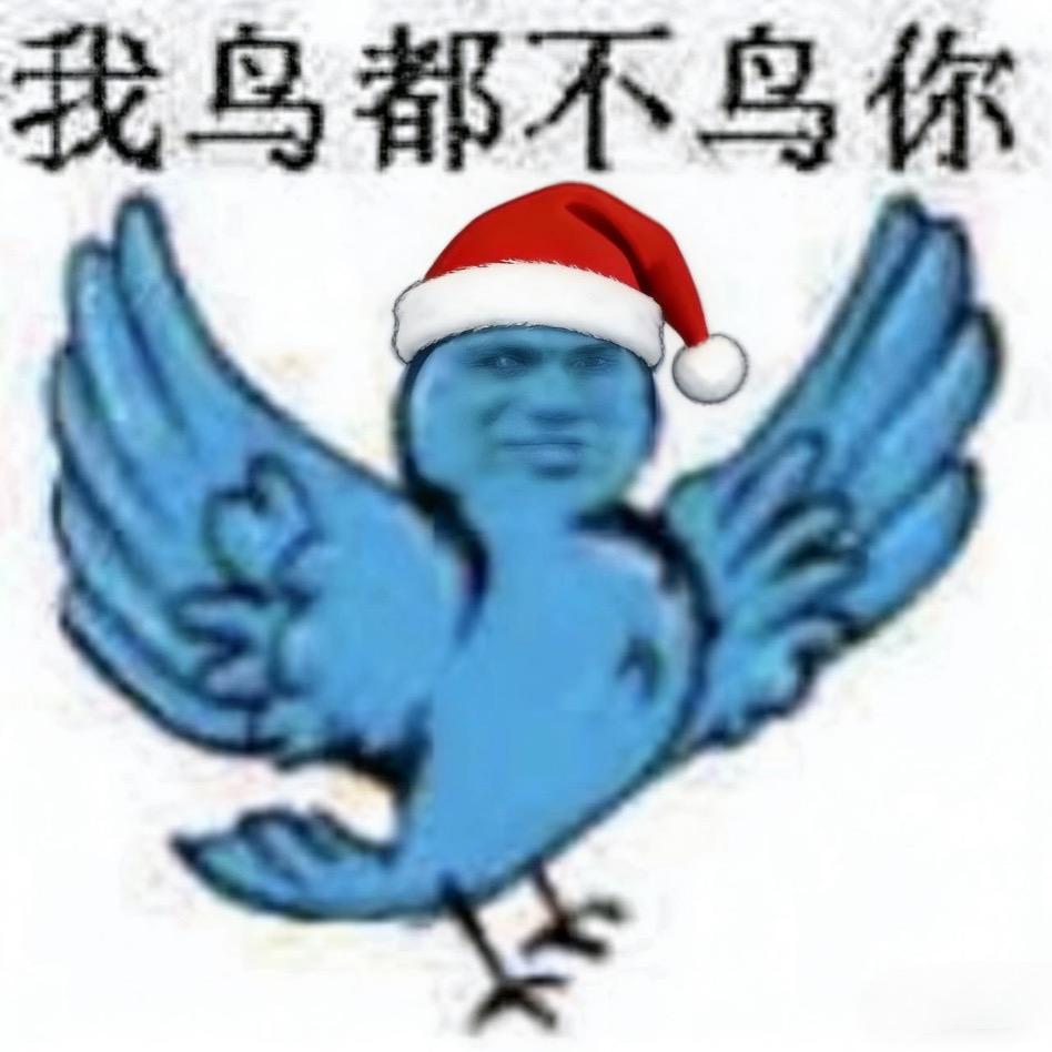 一只会跳舞的猫