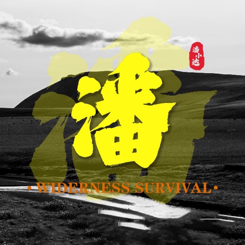 潘小达荒野