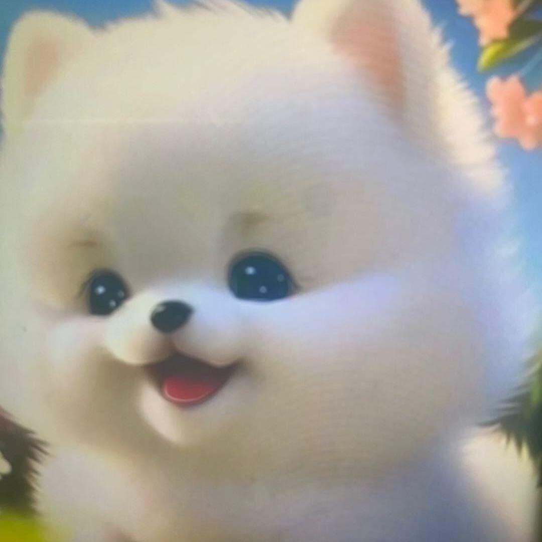 忆梦