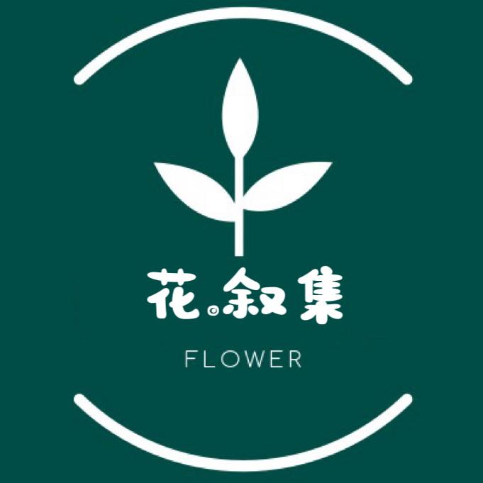云南花叙集鲜花