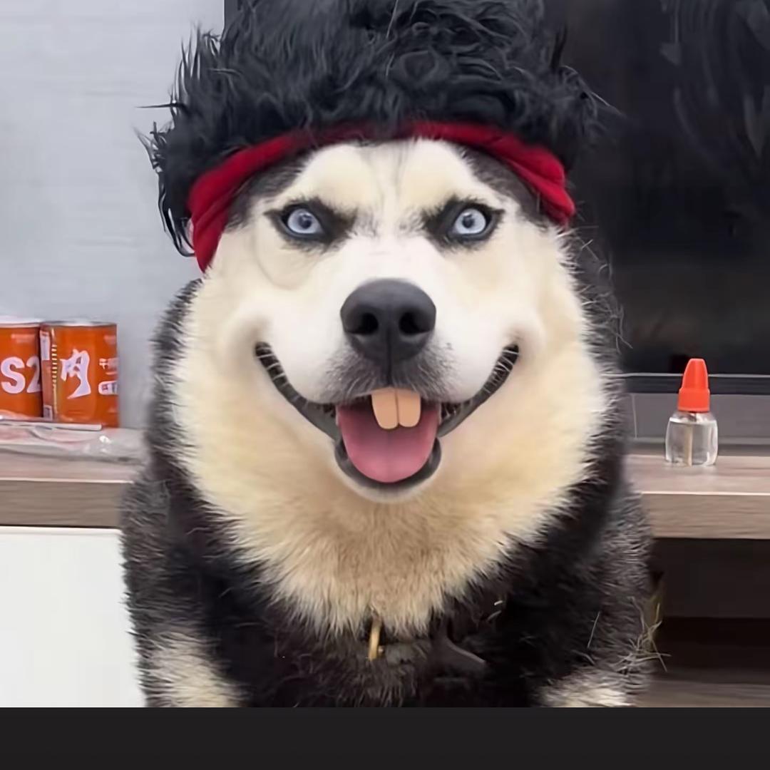 菜就多练🧱