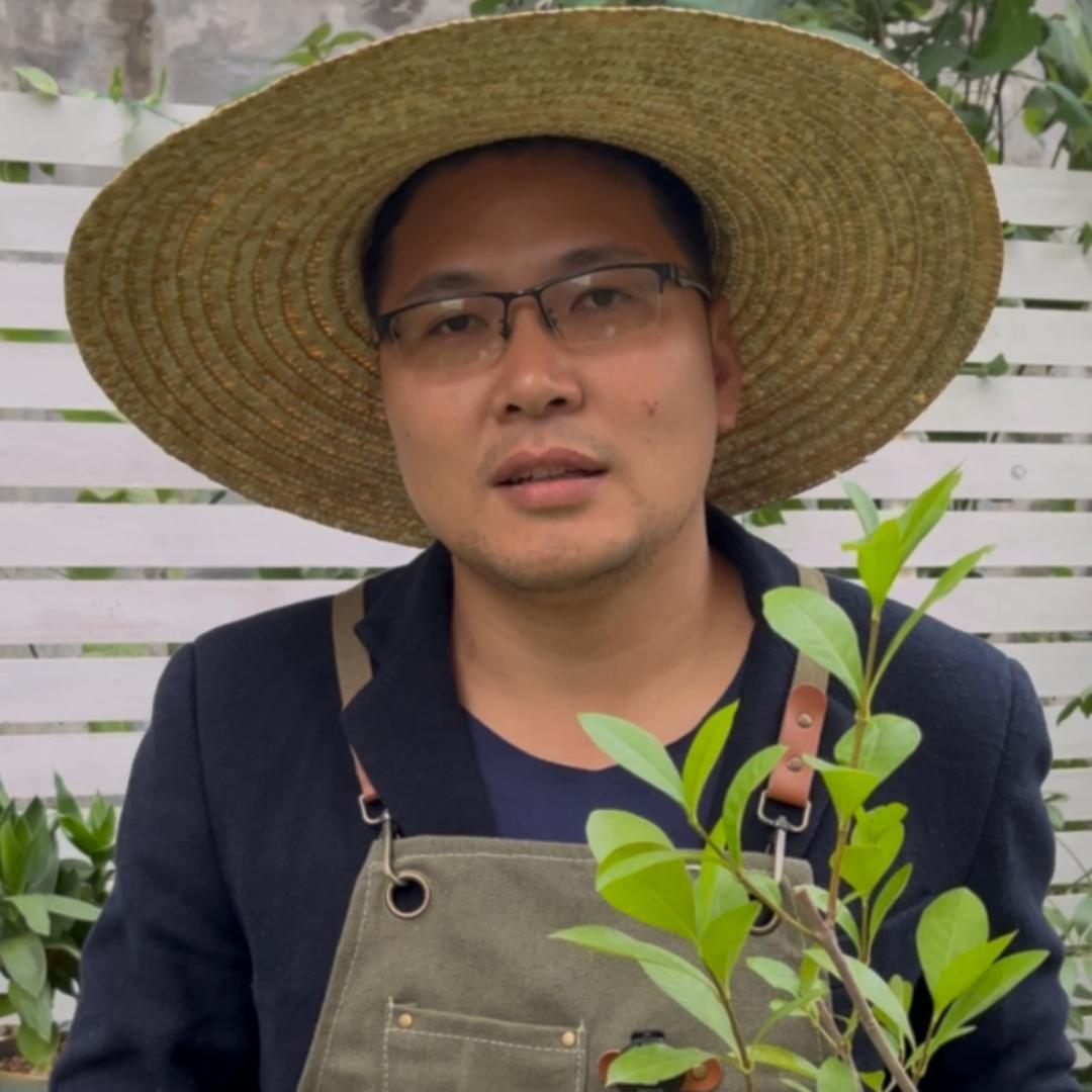 林哥种花草