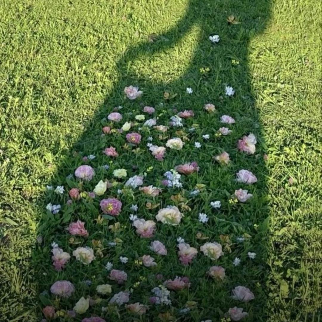 草莓味的风油精