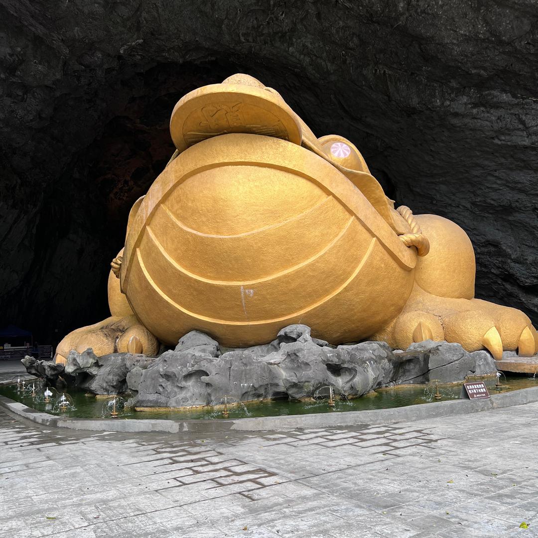 农林巴巴-农林业者的故事分享