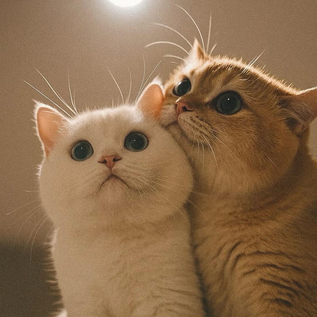 看我眼色行事～