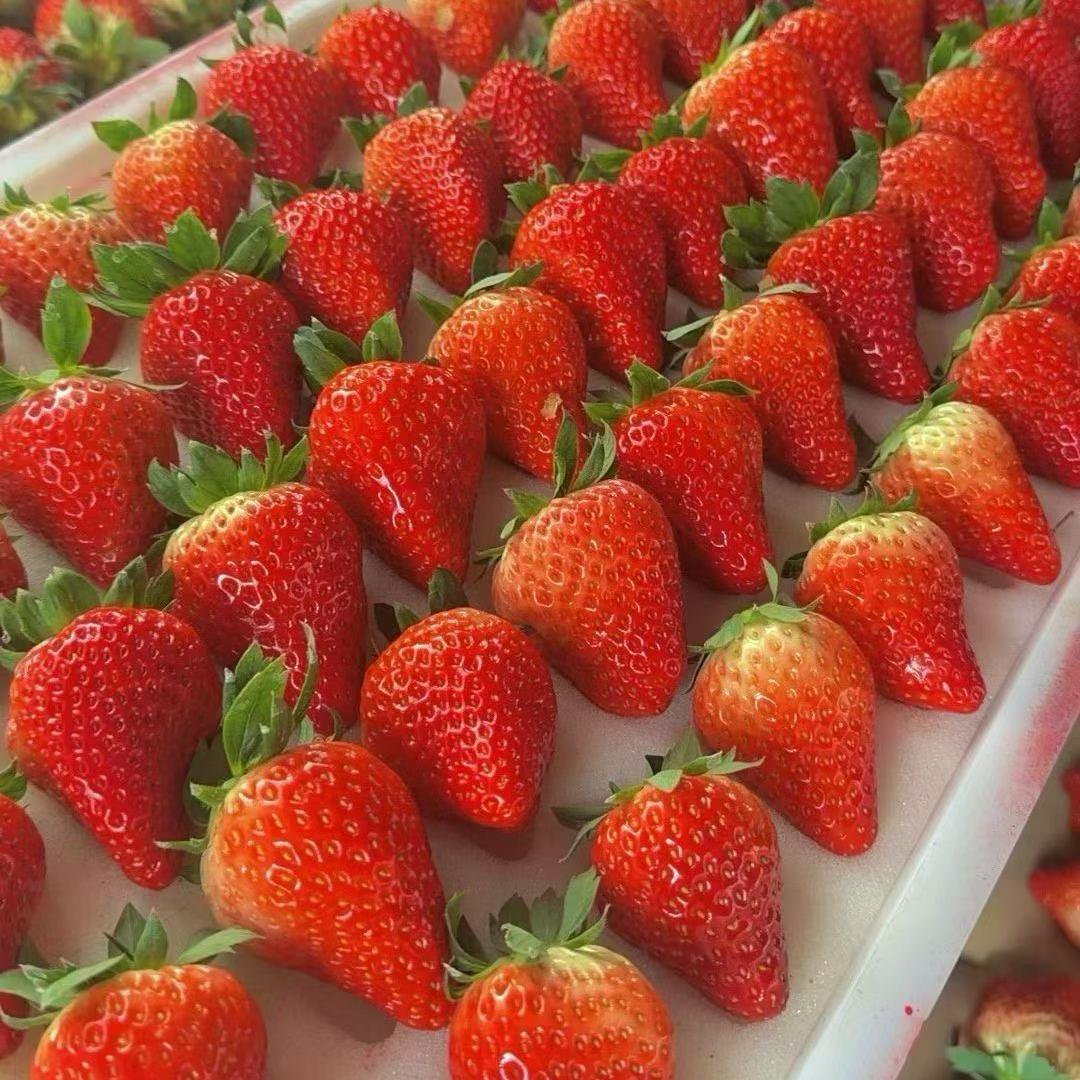 东港市果优鲜鲜果优品铺子