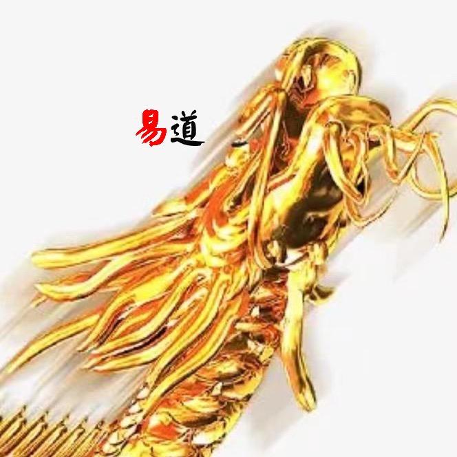 易股道
