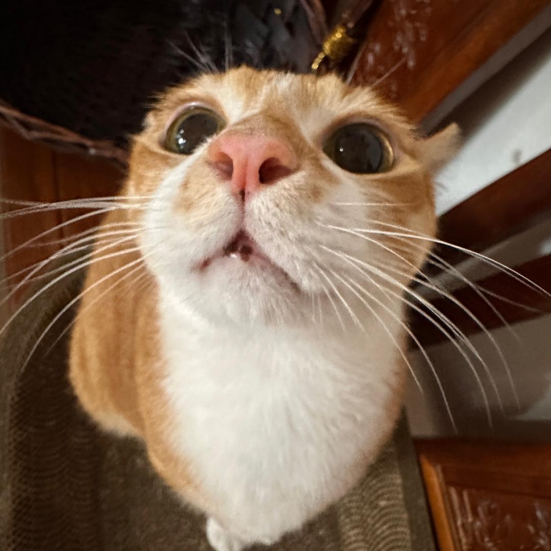 kiyooo