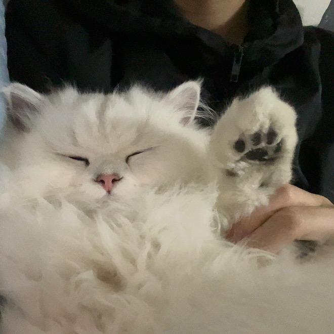 闷油瓶