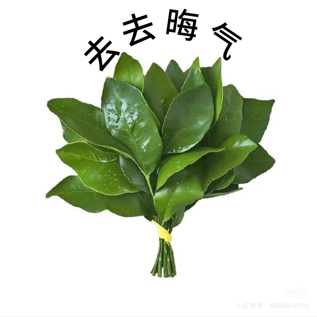 糯白（主页小号播）