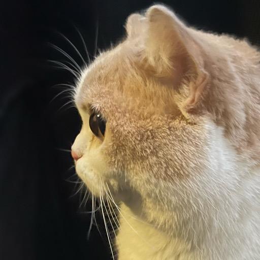 脚洗娃头像