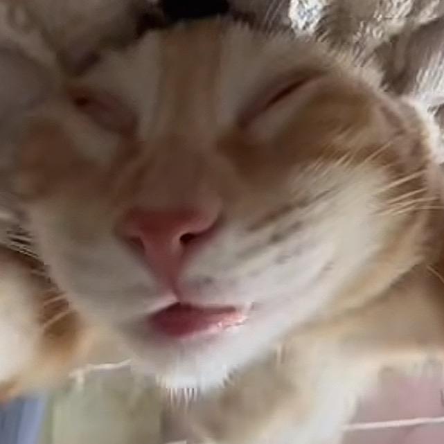 抛开实力不谈