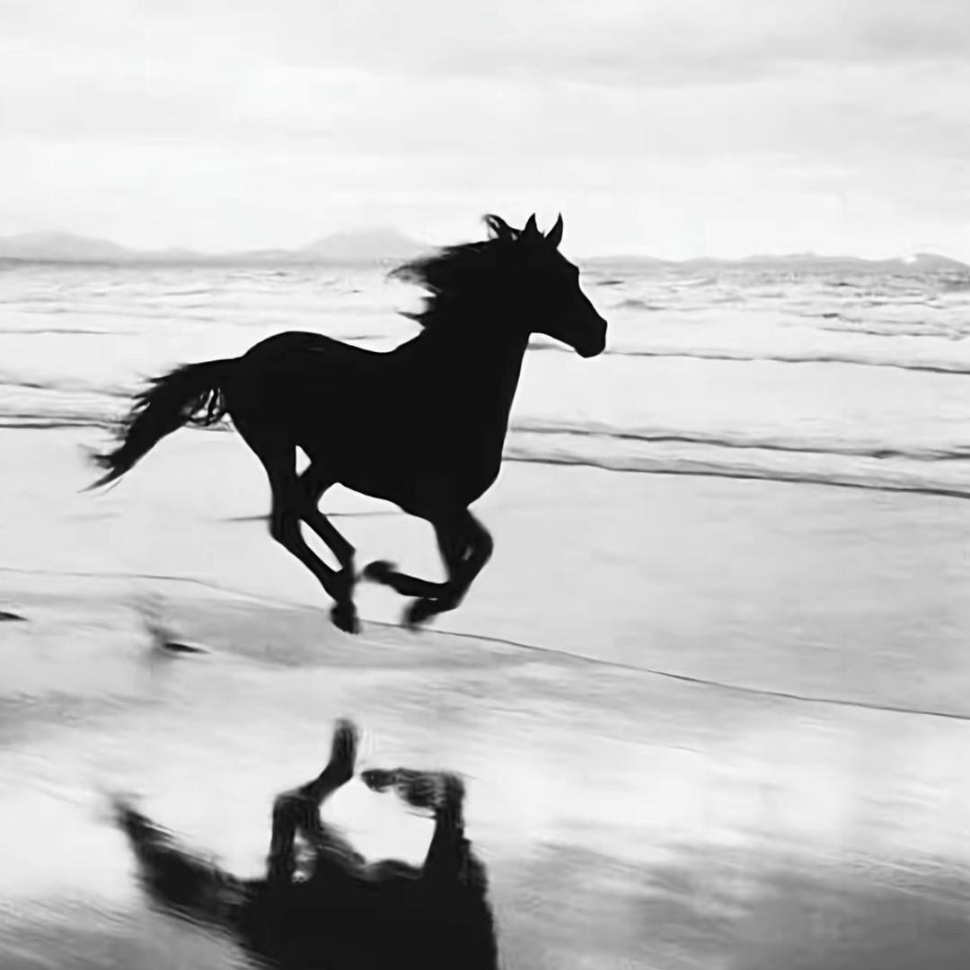一本正经