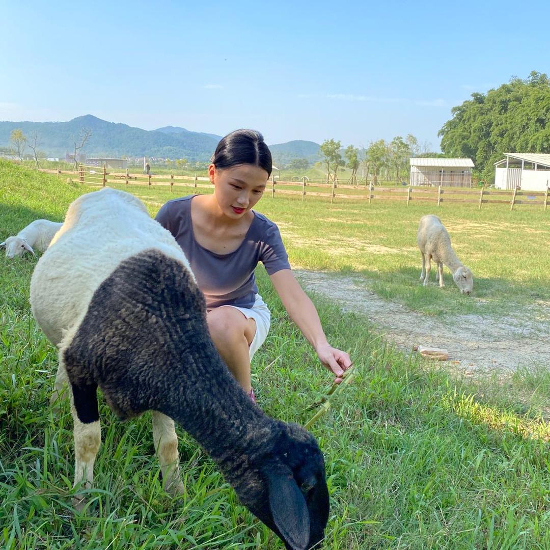 杨玲《王者版》