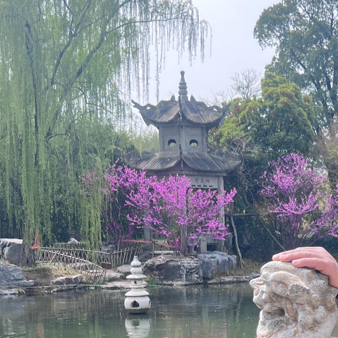 后来的我们